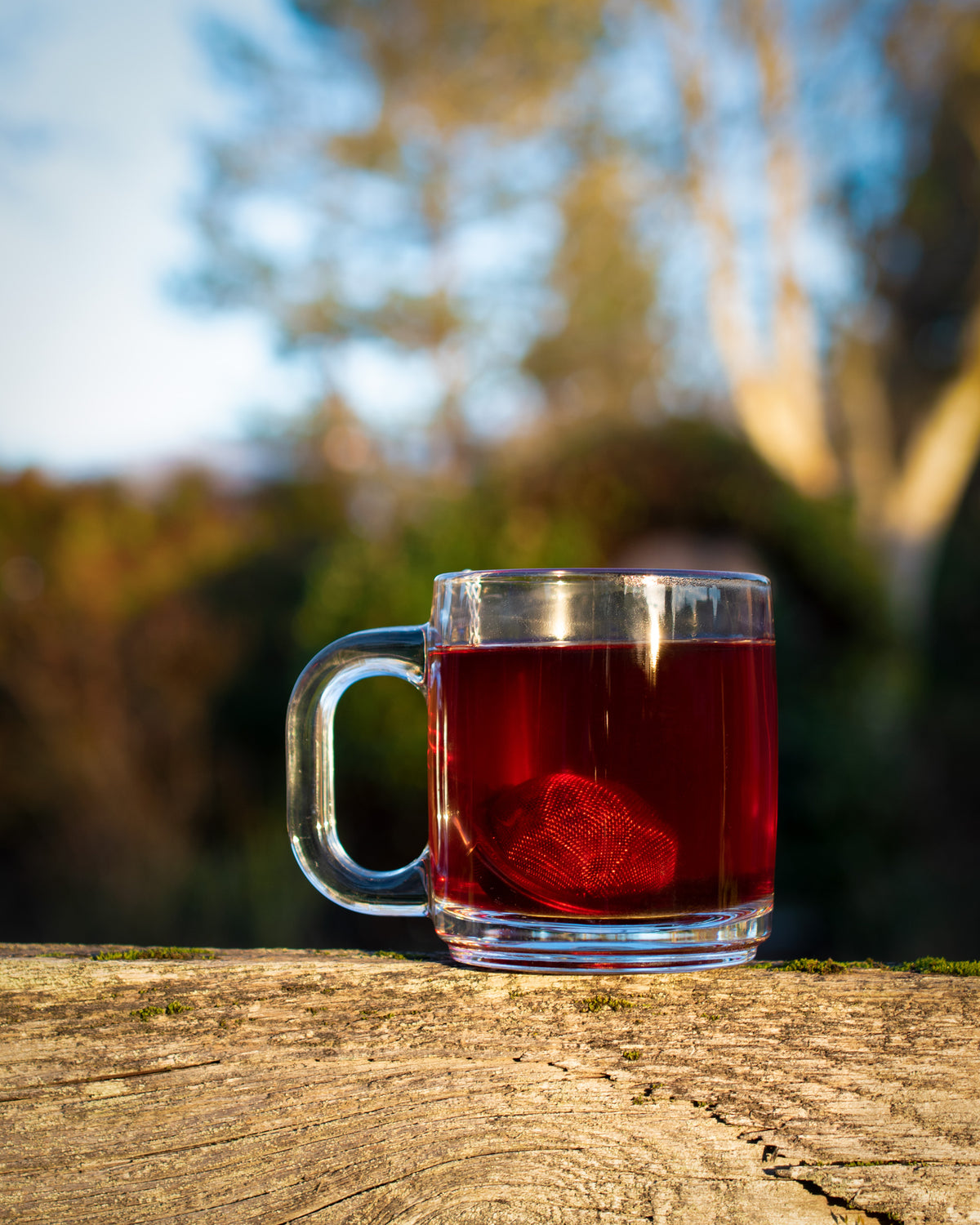 Herbal Tea Highlight: Immunity Infusion Supreme
