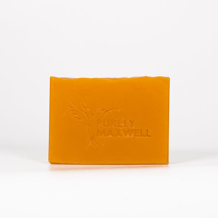 Fresh ORANGE Shampoo Bar - Purely Maxwell LLC